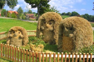 2003 Strohskulpturen Höchenschwand_19