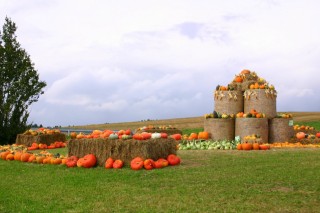 2005 Strohskulpturen Höchenschwand_50