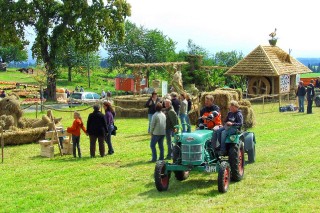 2009 Strohskulpturen Höchenschwand_23