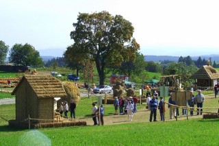 2009 Strohskulpturen Höchenschwand_24