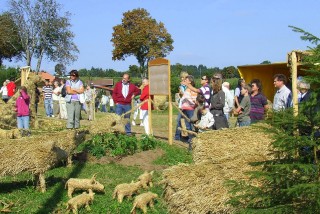 2009 Strohskulpturen Höchenschwand_30