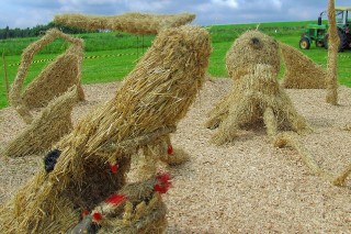 2009 Strohskulpturen Höchenschwand_6