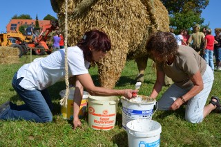 2011 Strohskulpturen_21