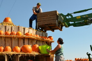 2011 Strohskulpturen_60