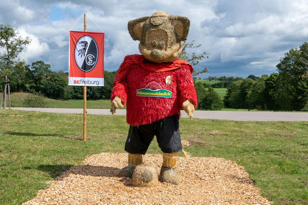 Sportverein Höchenschwand - Das Füchsle vom SC Freiburg