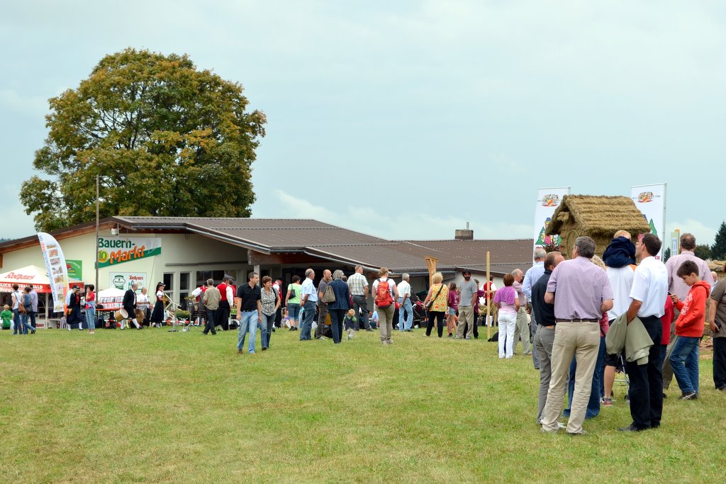 2011 Strohskulpturen_5