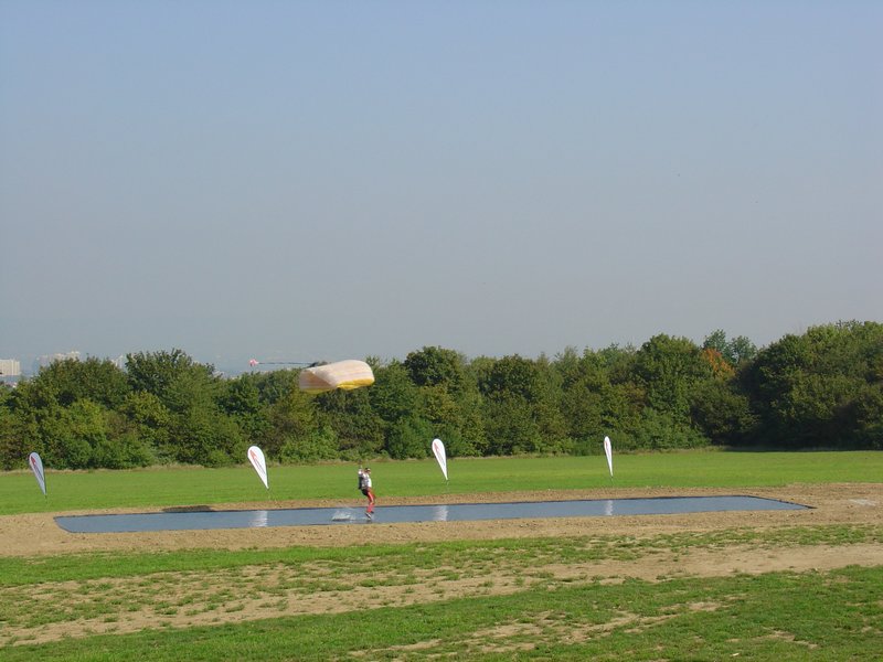 2004 Strohskulpturen ZDF Fernsehgarten_29