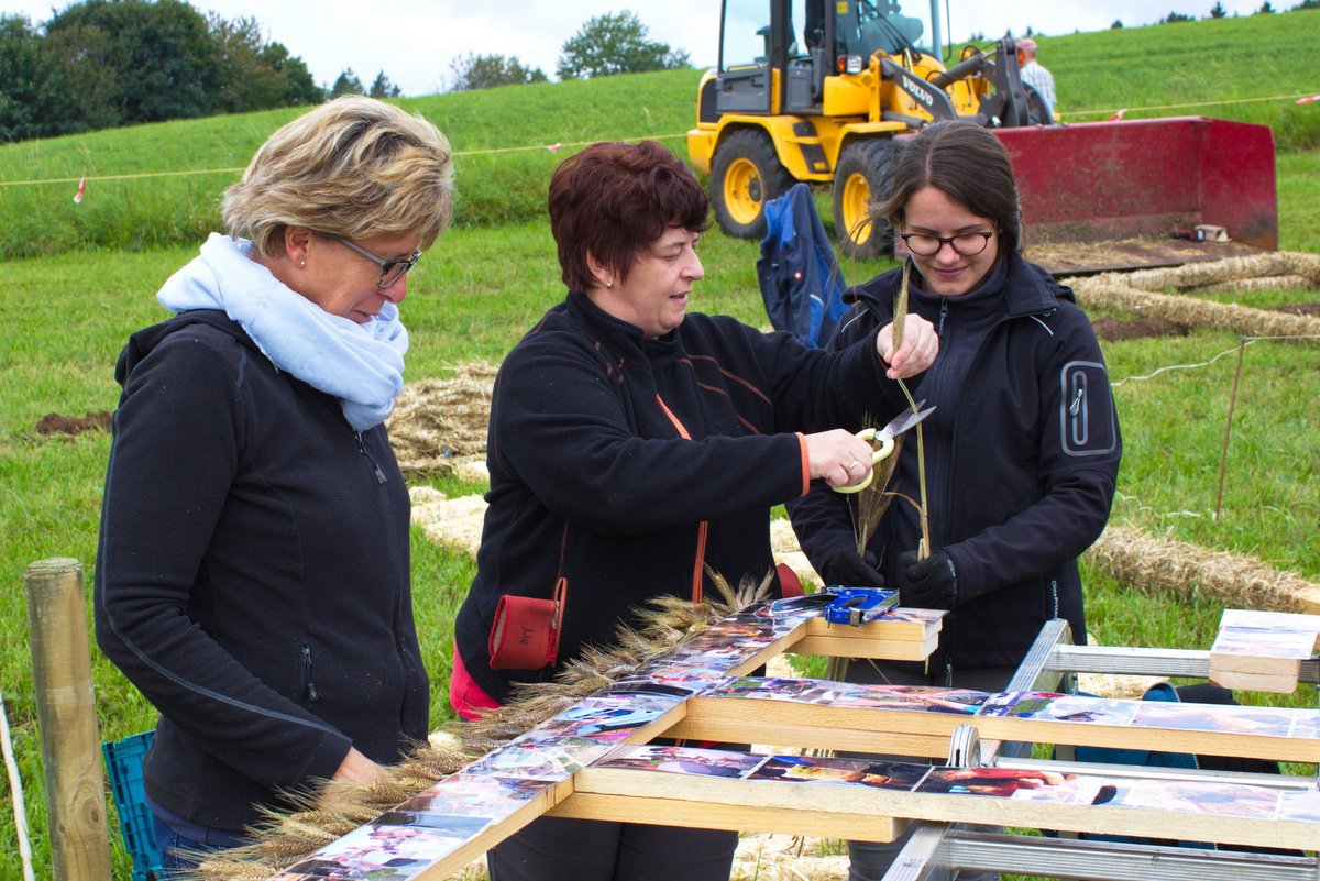 2017 Strohskulpturen Aufbau_15