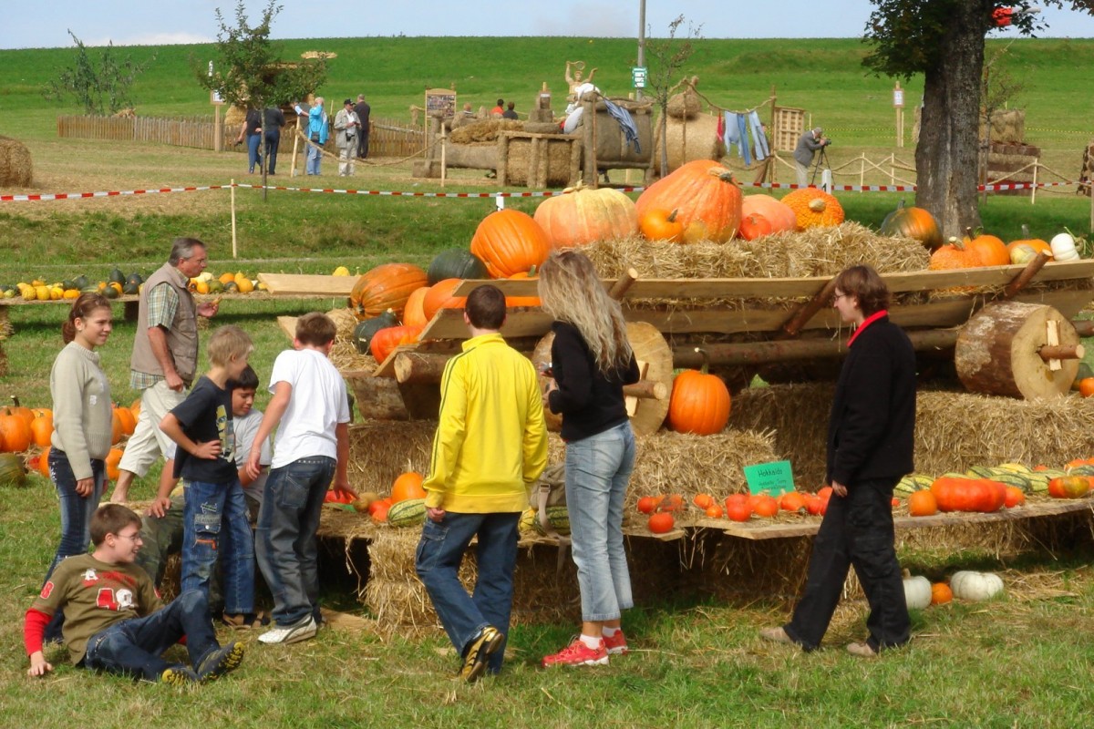 2007 Strohskulpturen Höchenschwand_23