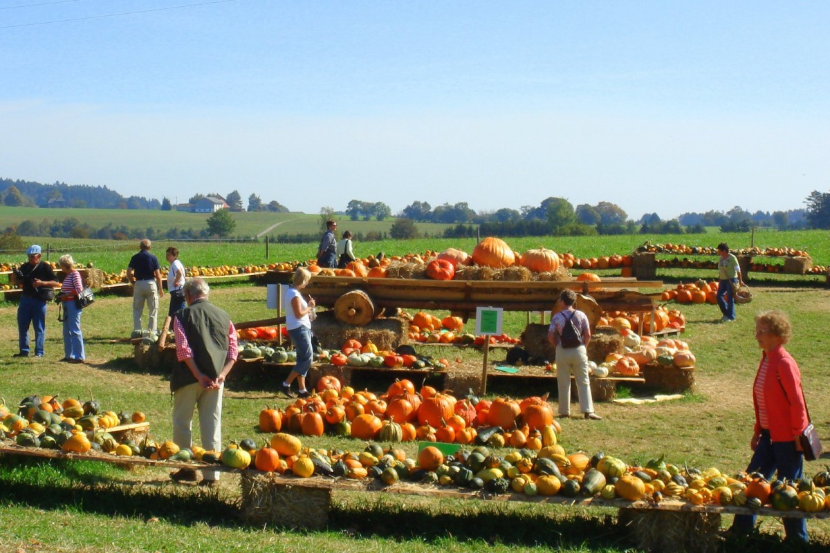 2007 Strohskulpturen Höchenschwand_30