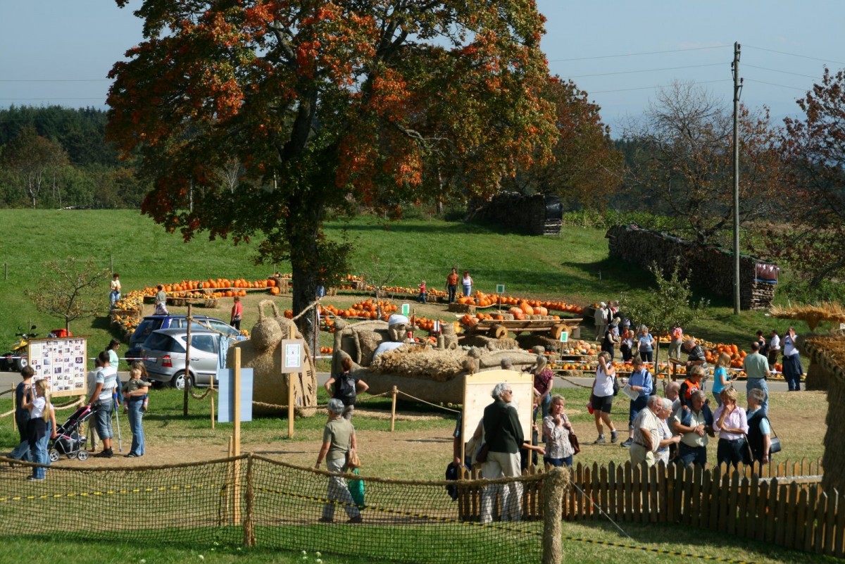 2007 Strohskulpturen Höchenschwand_53