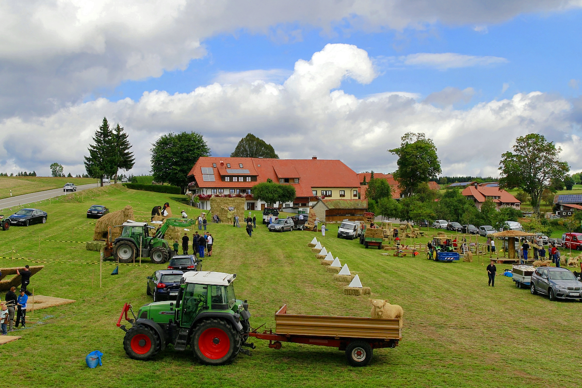 2015 Strohskulpturen_112