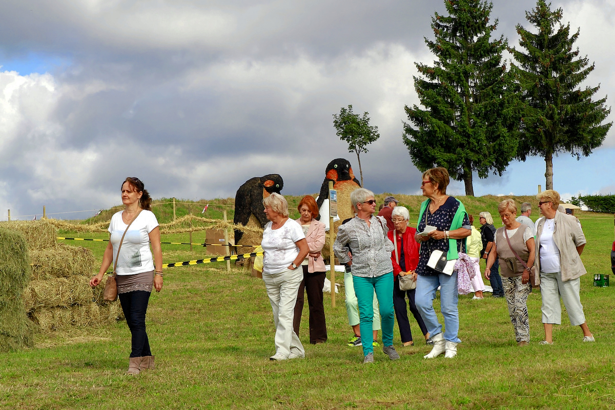 2015 Strohskulpturen_127