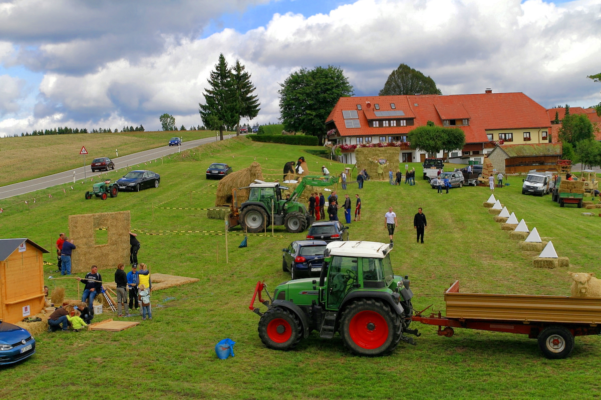 2015 Strohskulpturen_137