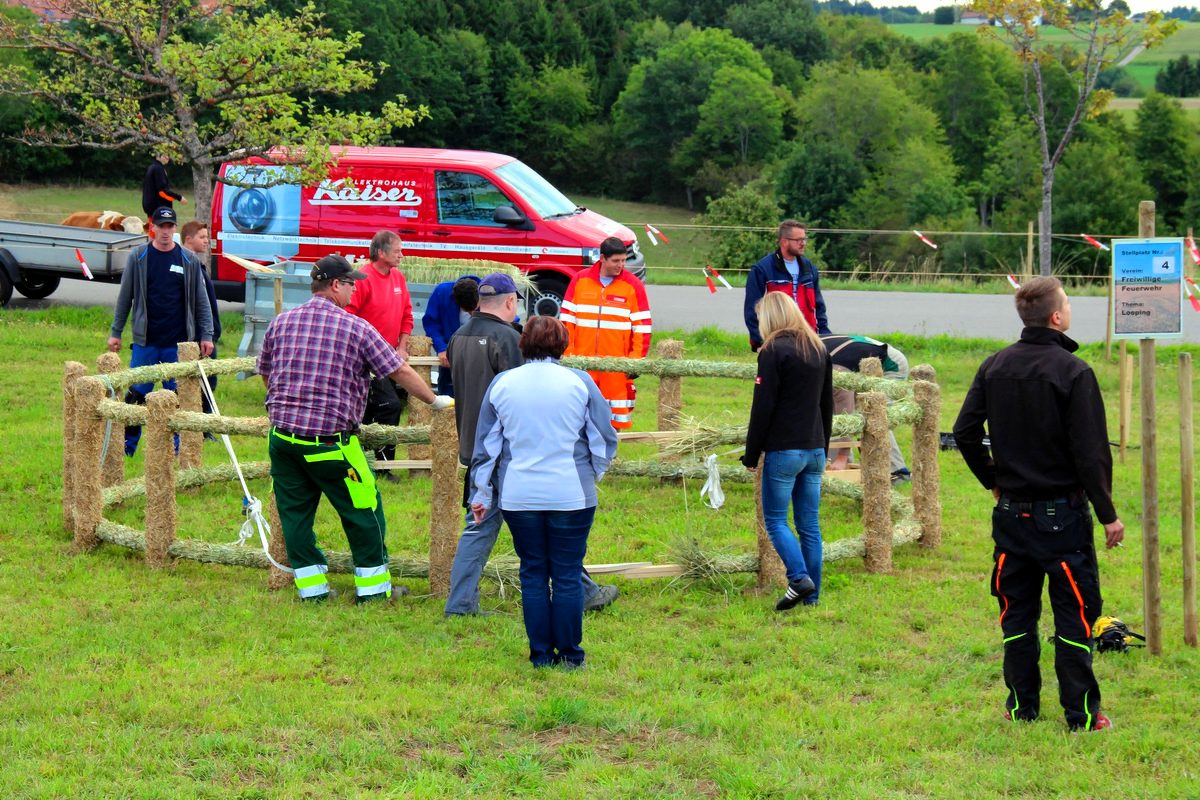 2015 Strohskulpturen_158